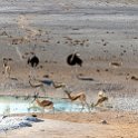 NAM OSHI Etosha 2016NOV26 010 : 2016, 2016 - African Adventures, Africa, Date, Etosha National Park, Month, Namibia, November, Oshikoto, Places, Southern, Trips, Year